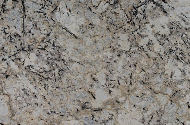 Delicatus White