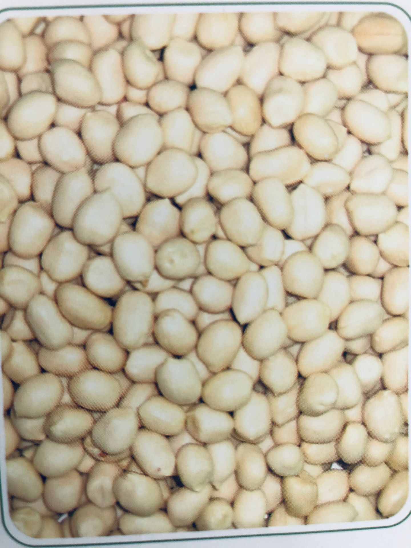 Blanched Peanut Kernels(Round Shape)