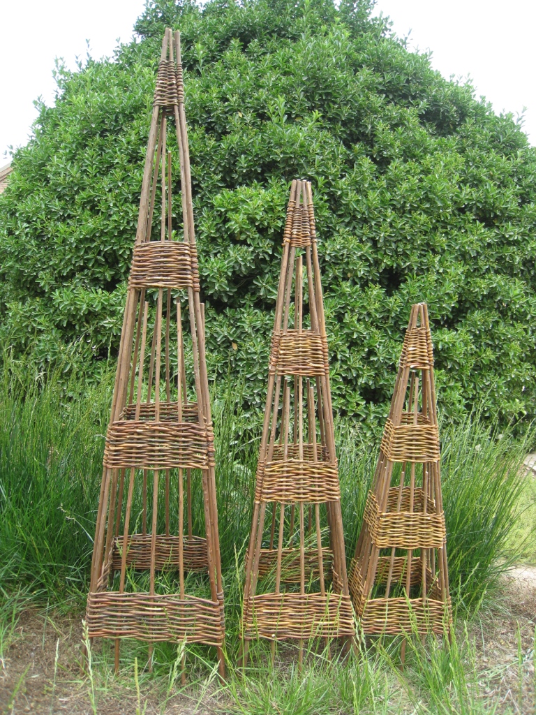 Willow obelisk