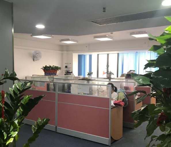 Guangzhou Tuofeng Trading Co., Ltd. – Product photos 3