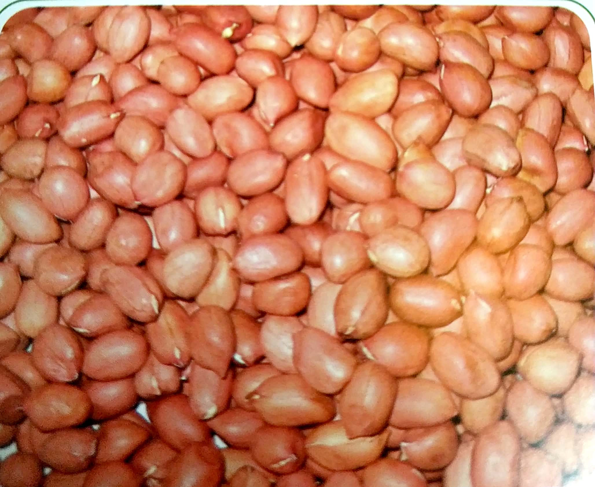 Red Skin Peanut Kernels