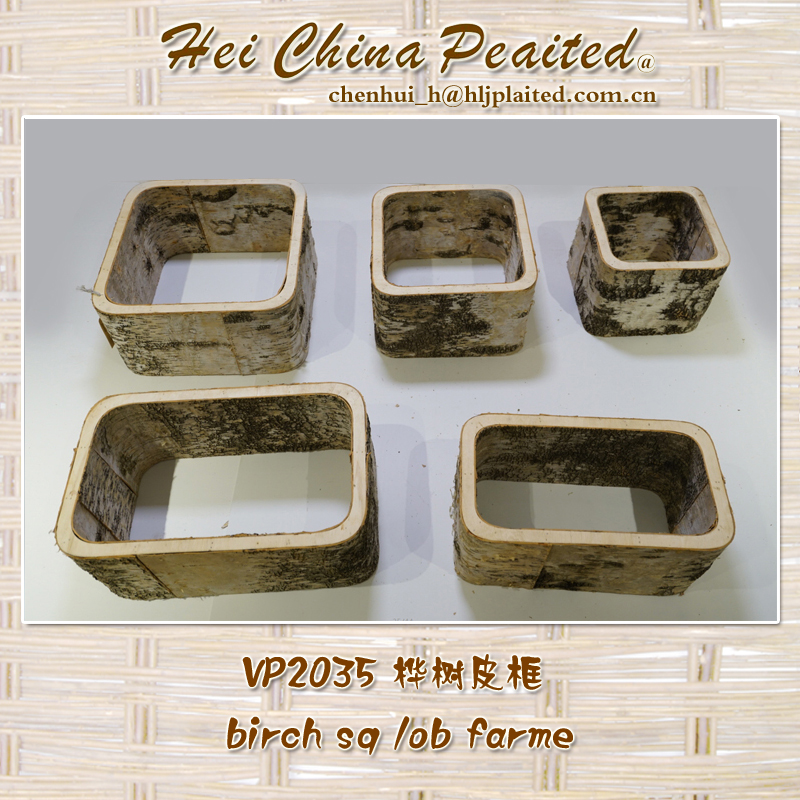 HEILONGJIANG CHINA PLAITED TRADING CO.,LTD. – portarretrato 3