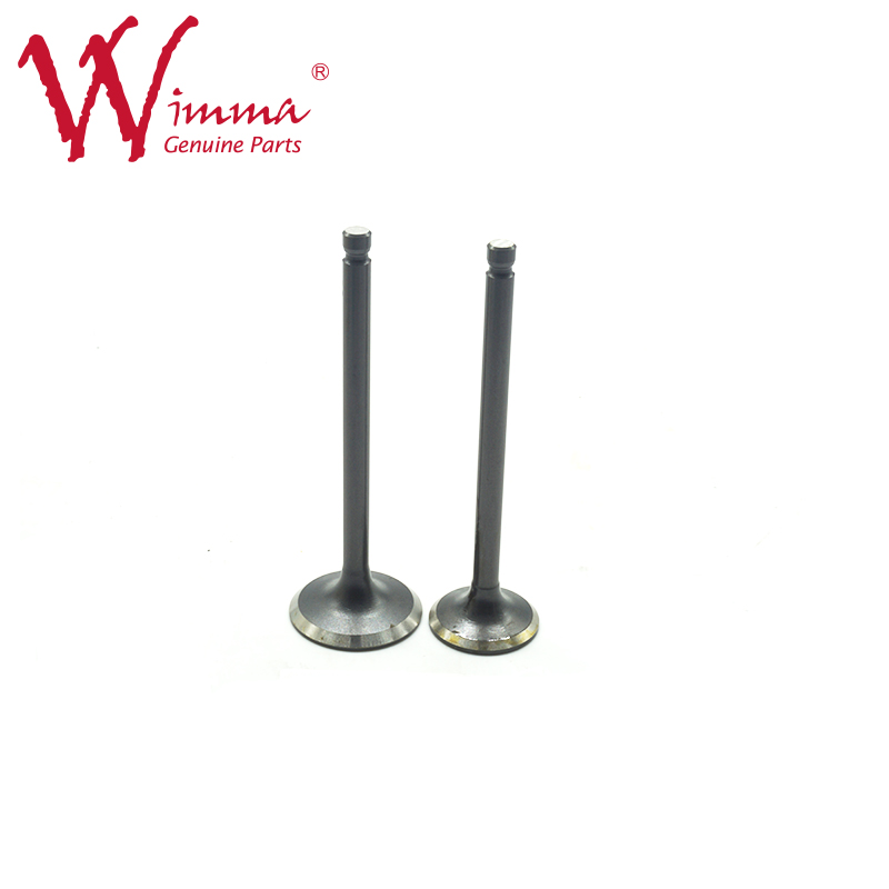 Chongqing Litron Trading Co., Ltd – Motorcycle Intake System 2