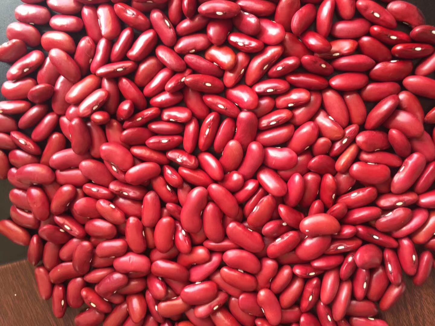 England Red Kidney Beans