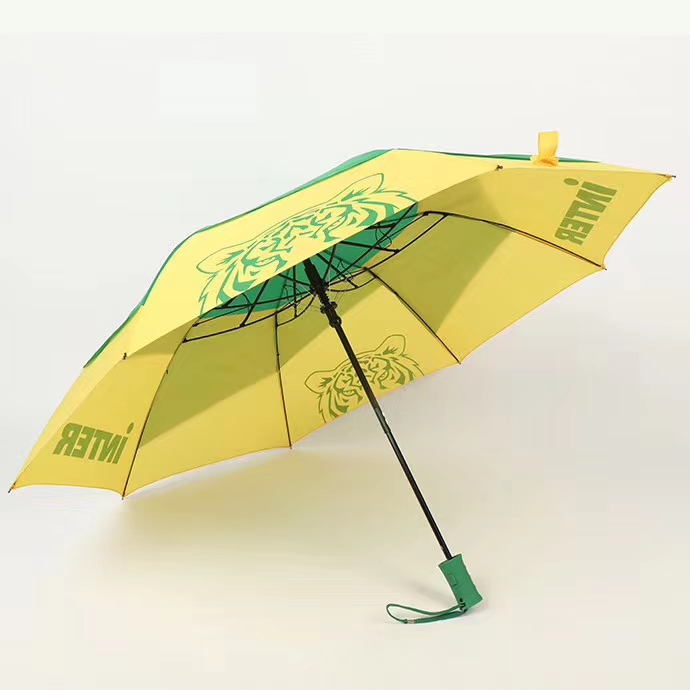 Double layer windproof umbrella