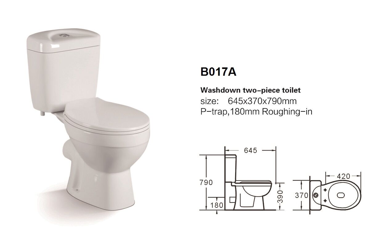 washdown two-piece toilet
