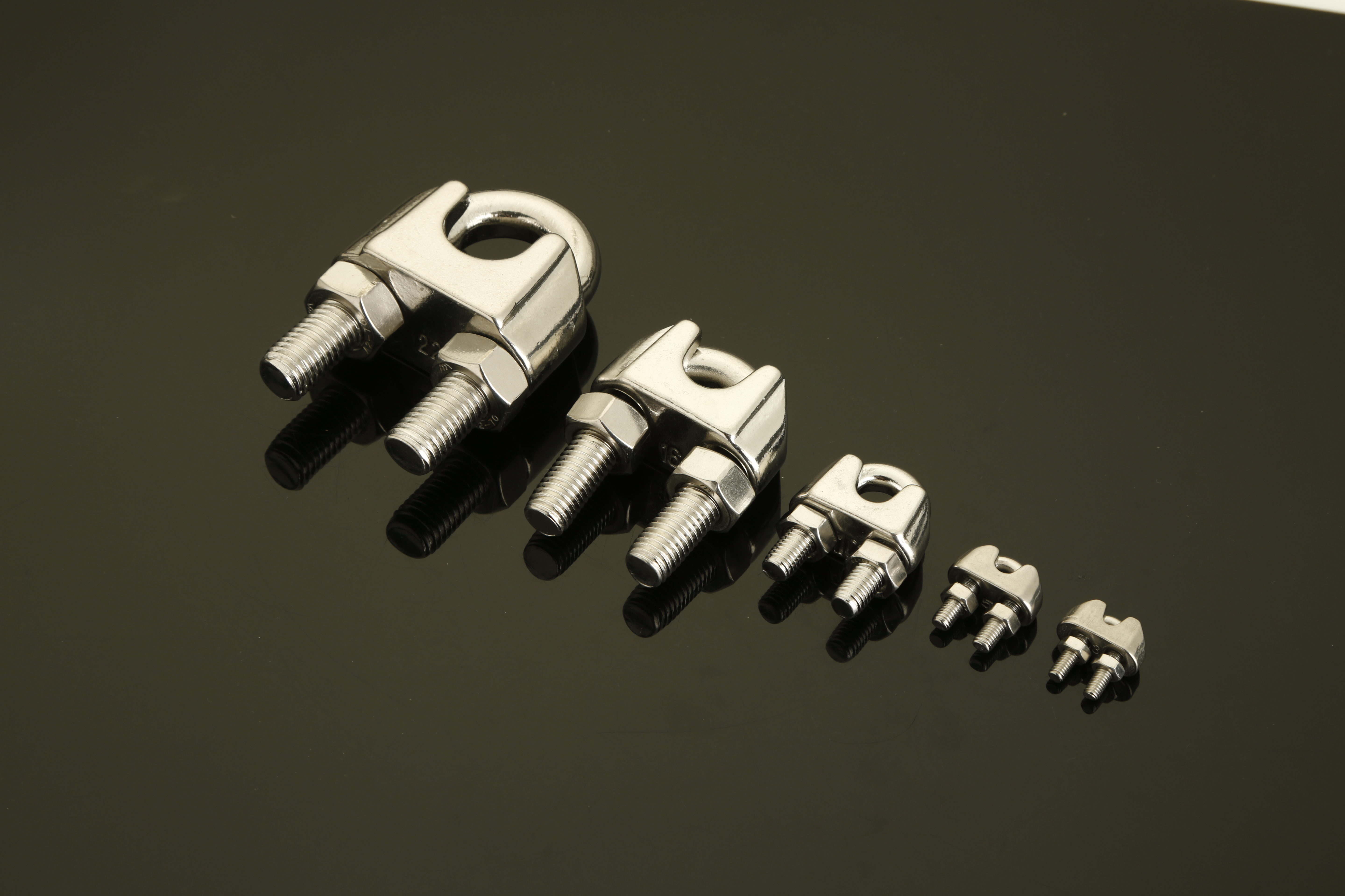 Stainless Steel Clip