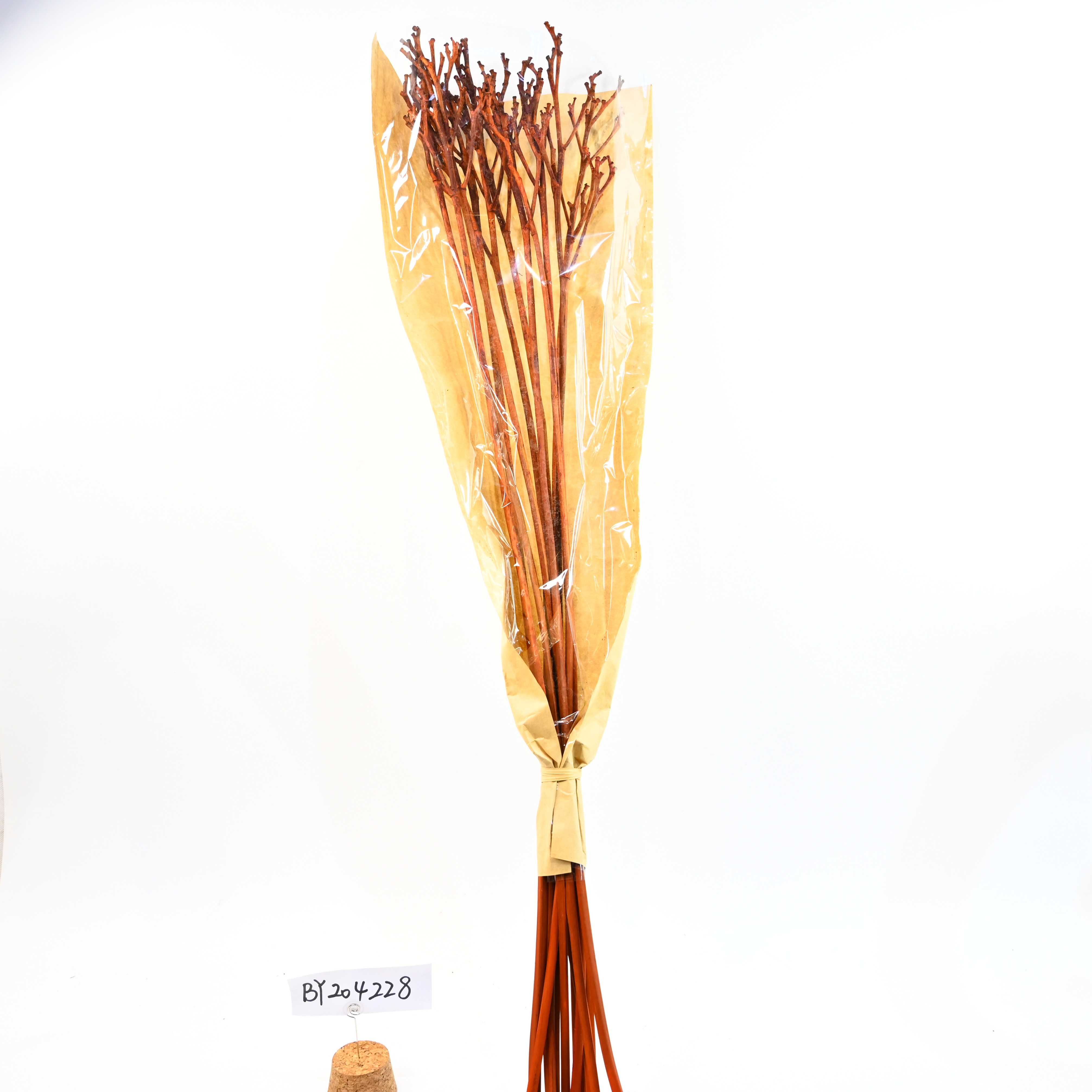dried flower-Hemerocallis citrina Baroni