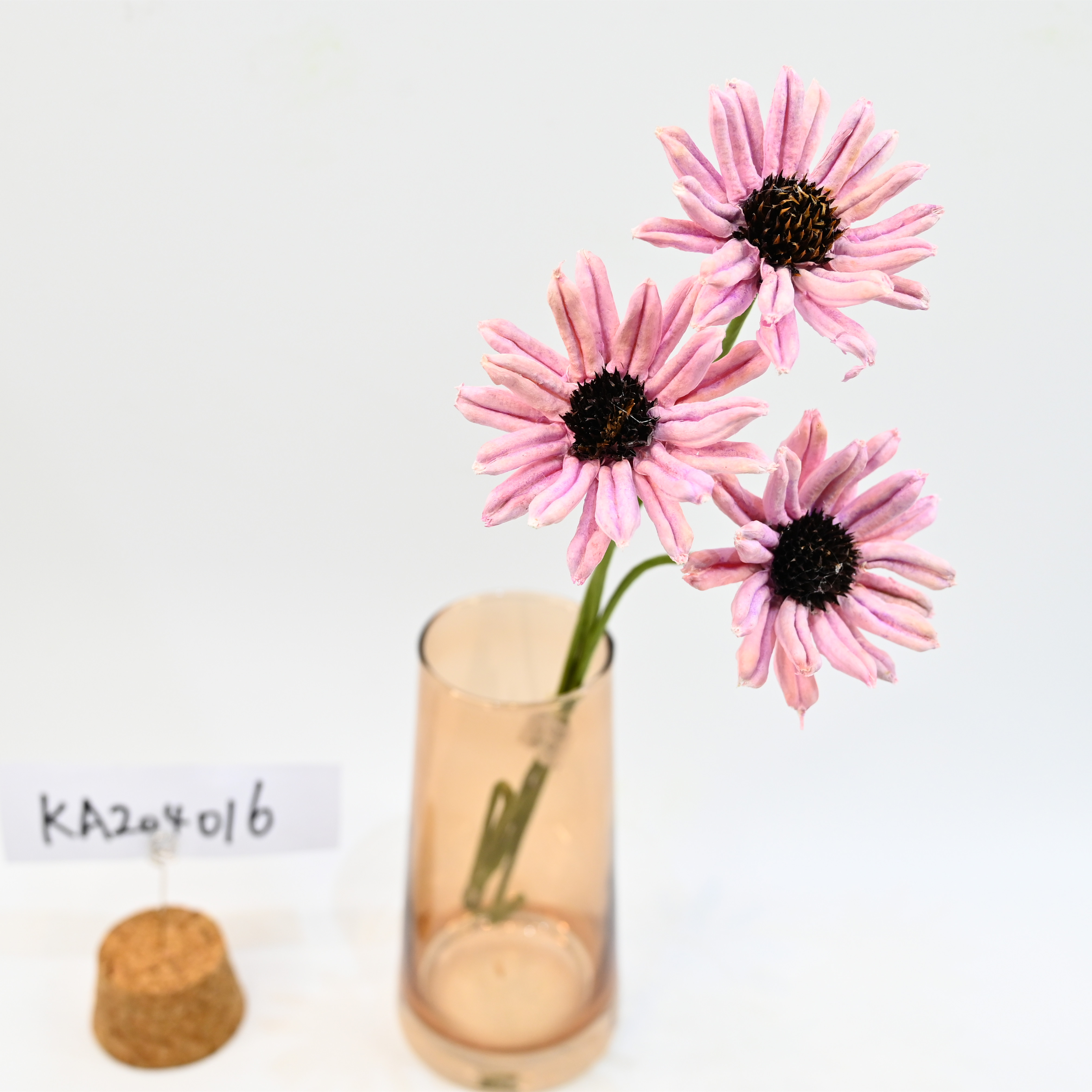 dried flower-Sesamum indicum Dc