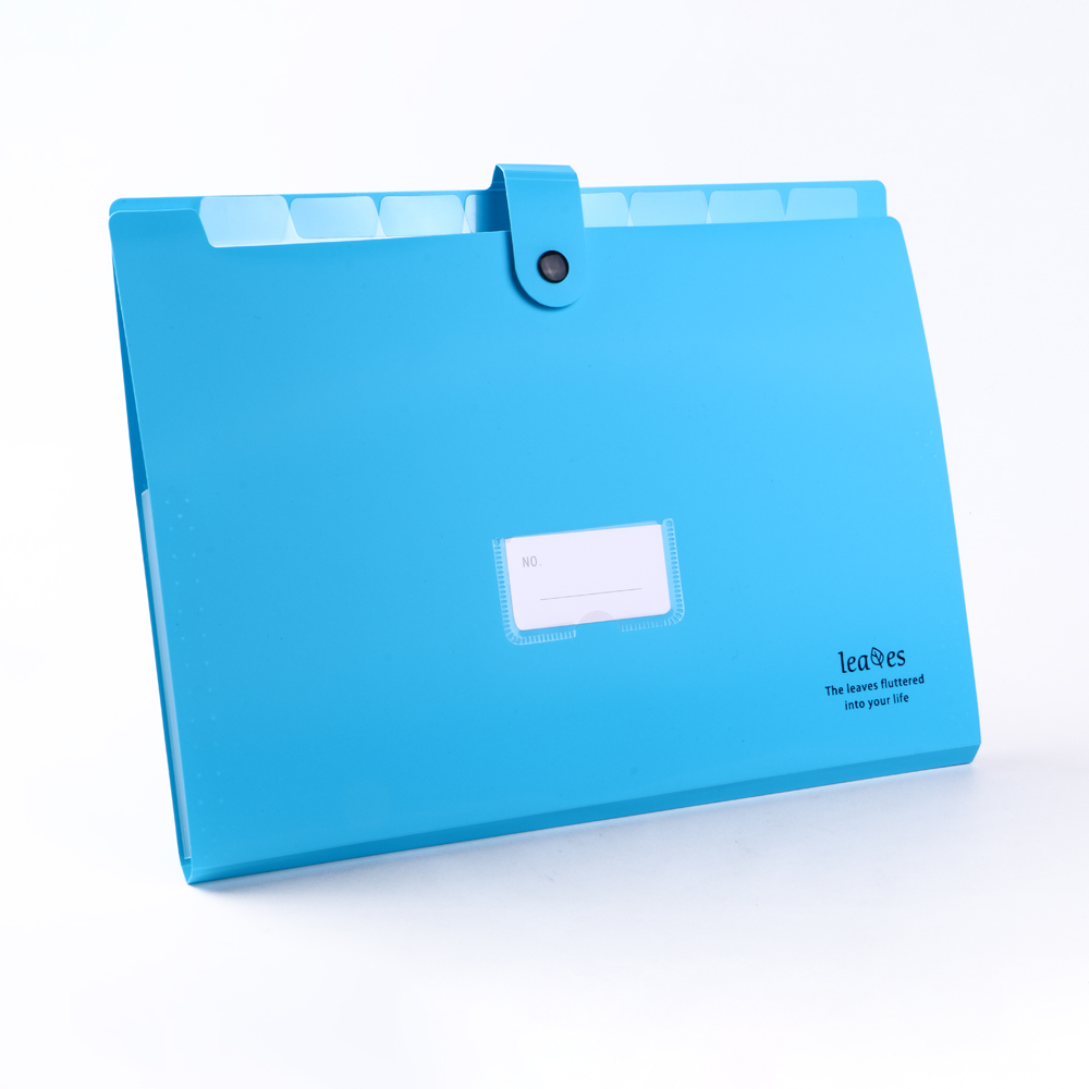 Eagle fashinable rainbow color portable A4 size PP plastic expanding file folder light blue