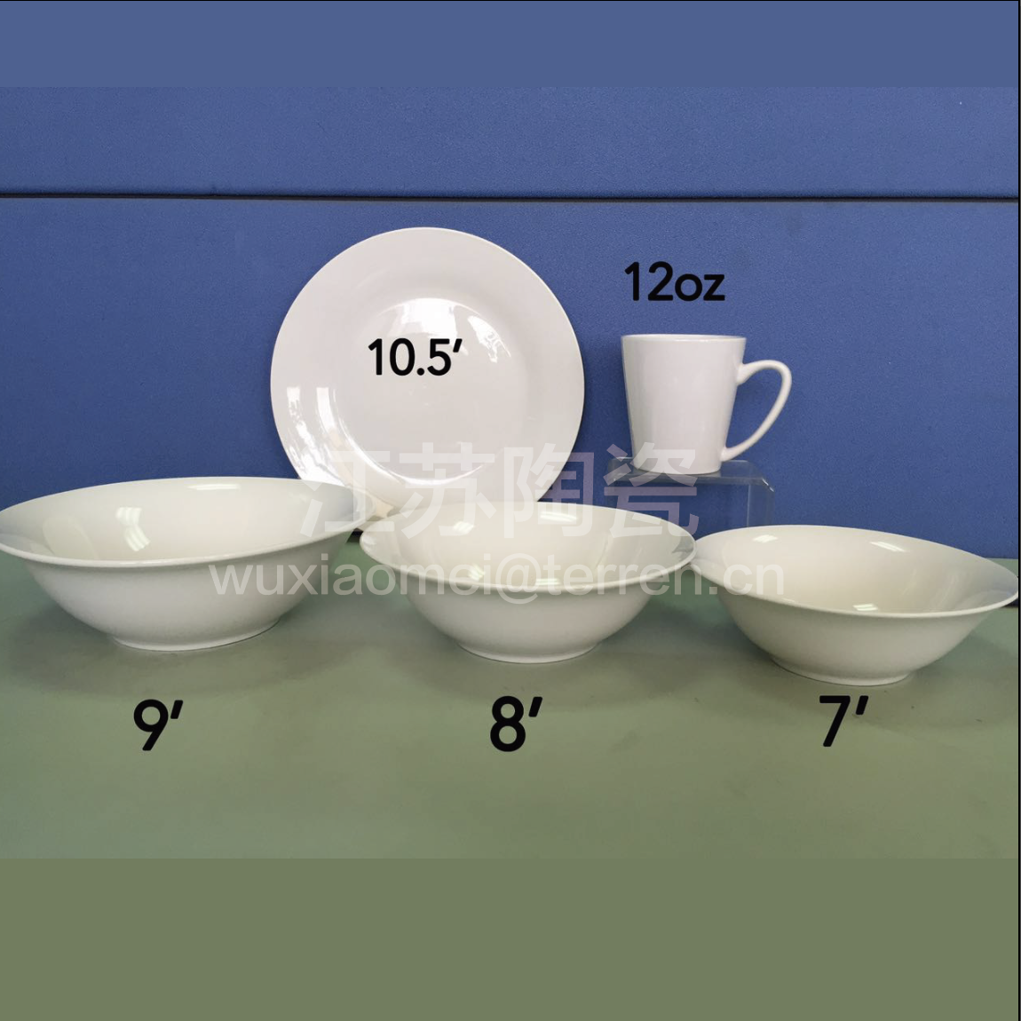 10.5’white dinner plate
