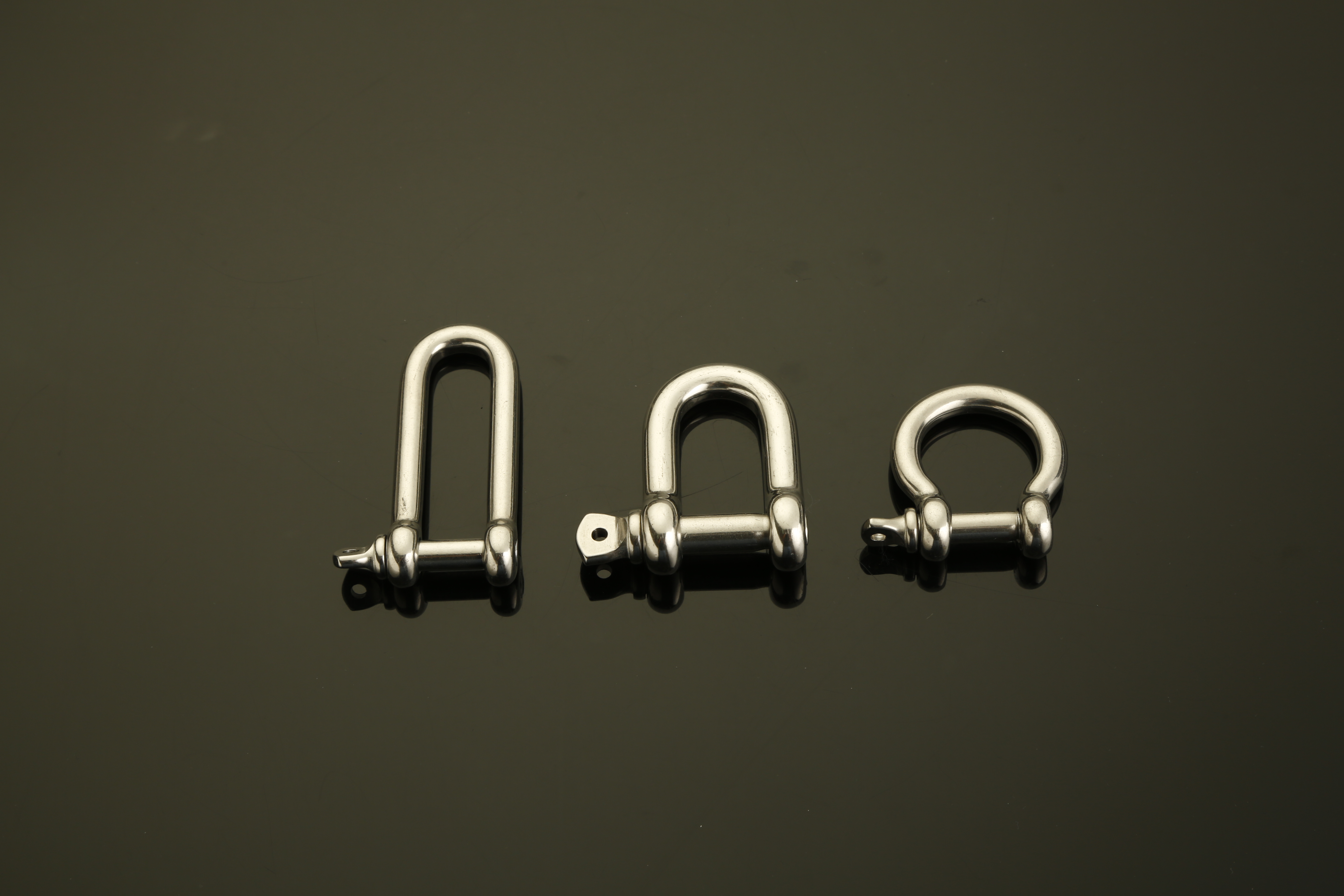 Stainless Steel Shackle