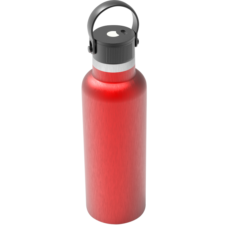 UV sterilization bacteria kill water bottle