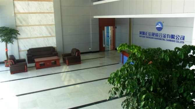 Heyuan Zhengxin Cemented Carbide Co., Ltd. – needles 3
