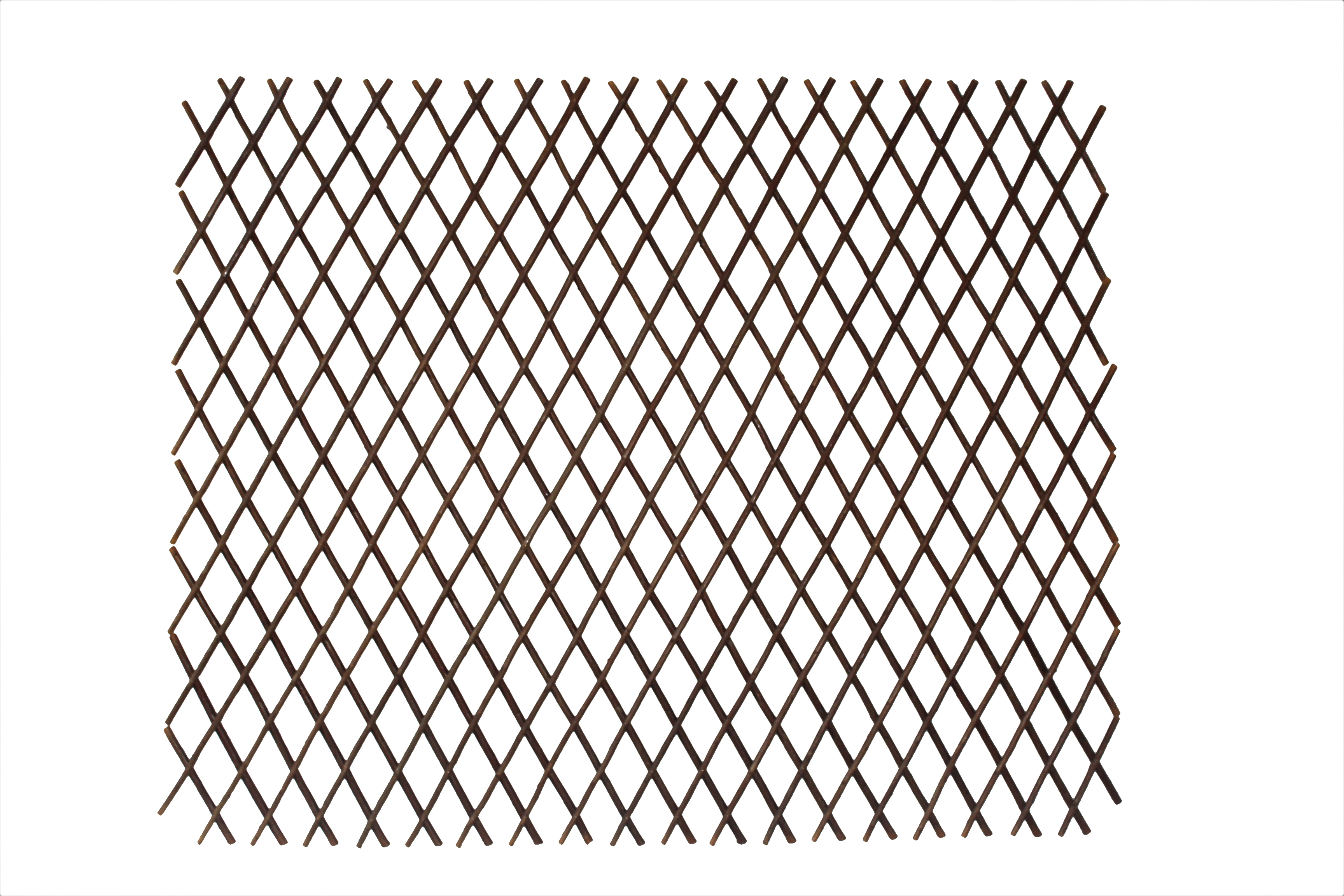 Expandable willow trellis