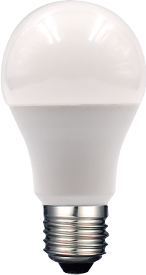 LED bulb