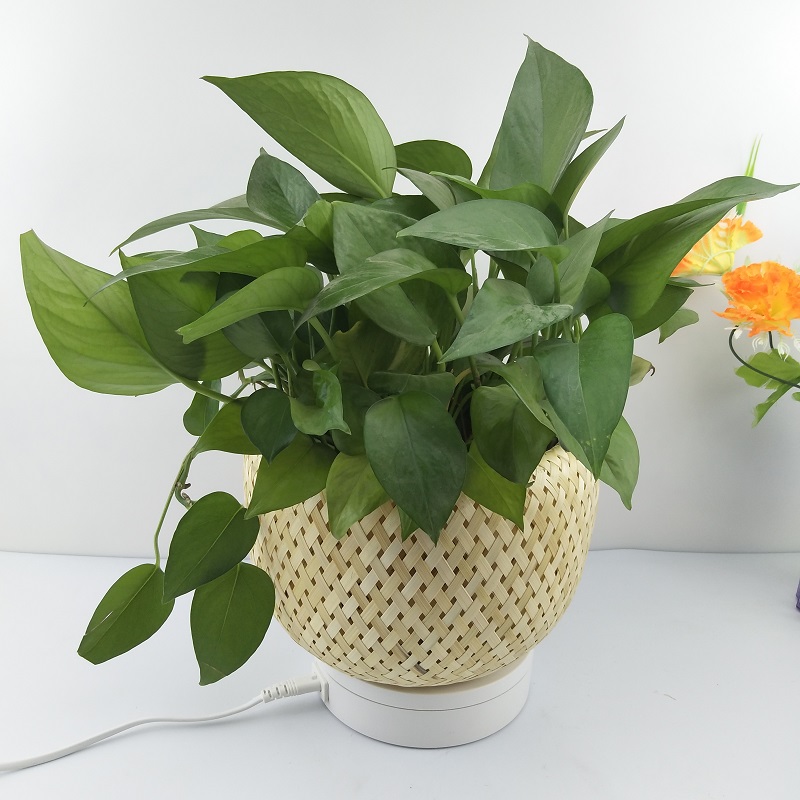 Bamboo baskets bamboo baskets planting eco-friendly flower baskets