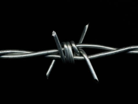 barbed wire