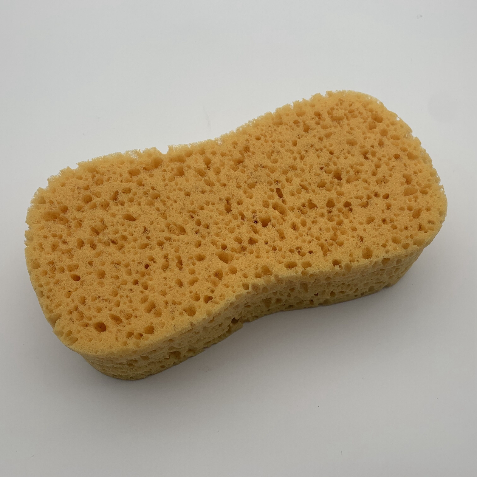 Wash Sponge