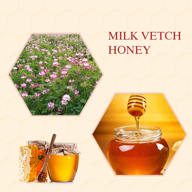 Milk Vetch Honey