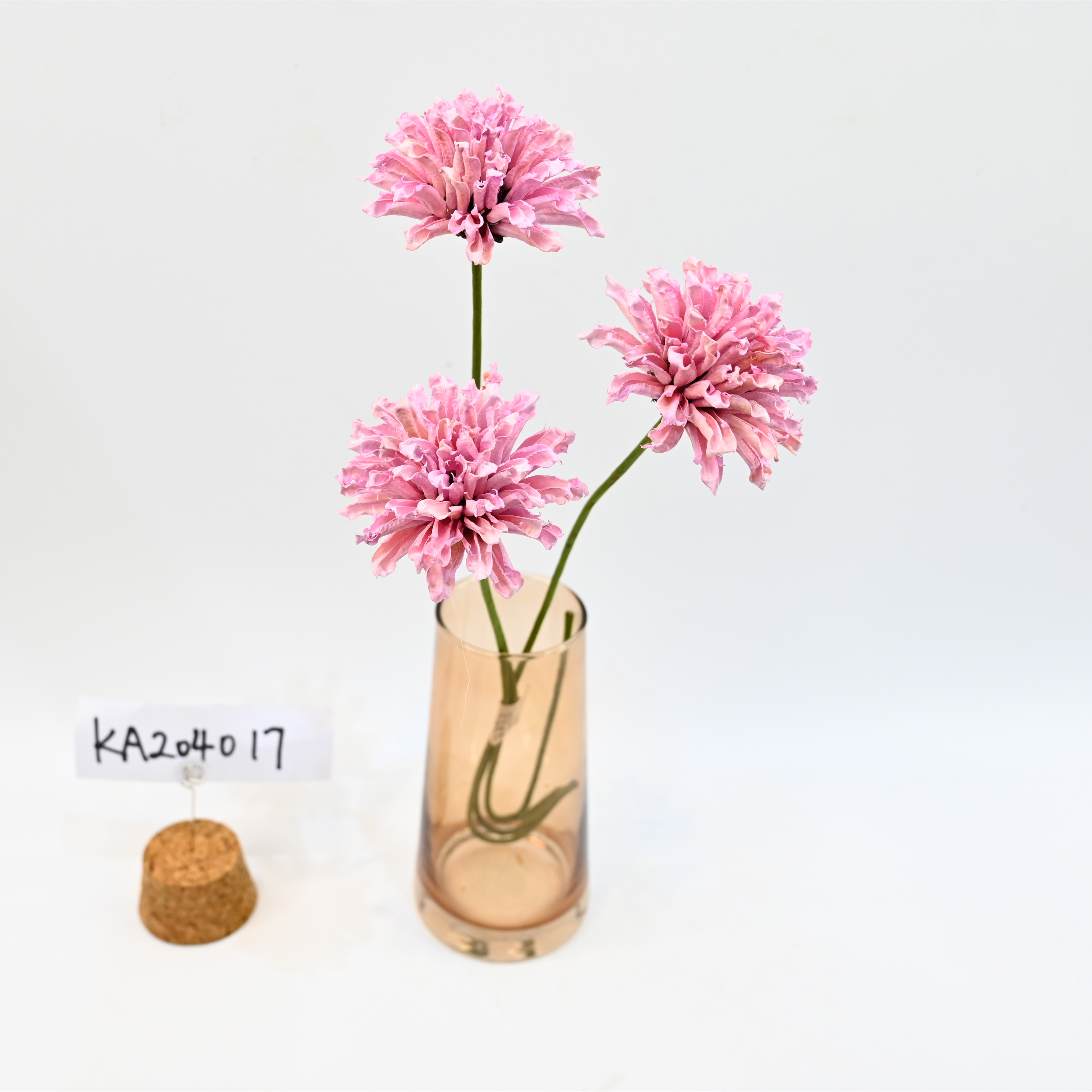 dried flower-Sesamum indicum Dc