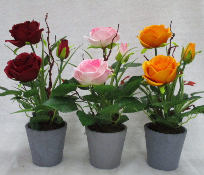 12#potted Rose