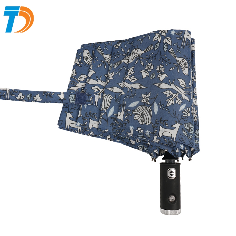Umbrella umbrella umbrella umbrella umbrella umbrella umbrella umbrella umbrella umbrella umbrella umbrella umbrella umbrella umbrella umbrella umbrella umbrella umbrella umbrella umbrella umbrella umbrella umbrella umbrella umbrella umbrella umbre