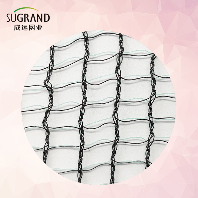 50g Square Black Olive Net