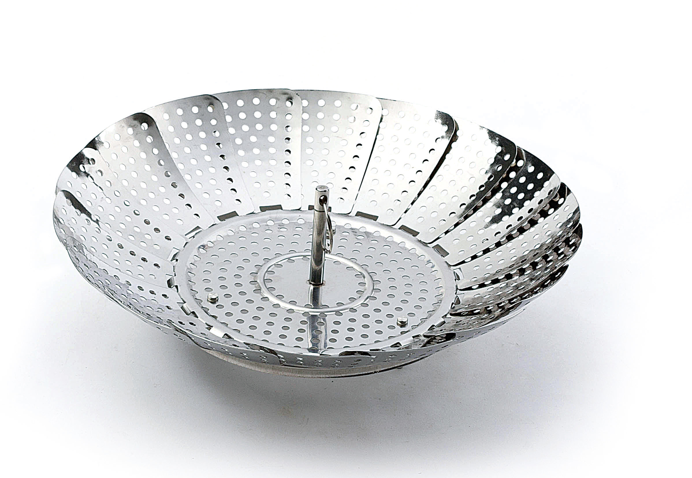 Stainless steel folder steamer