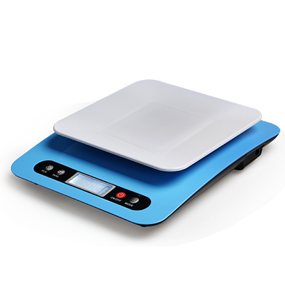 EH-269 Kitchen Scale