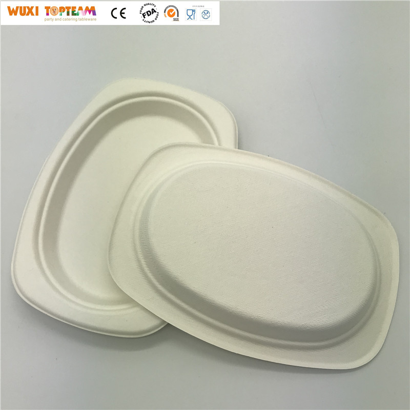 100% Biodegradable and Compostable Sugarcane Oval Plate