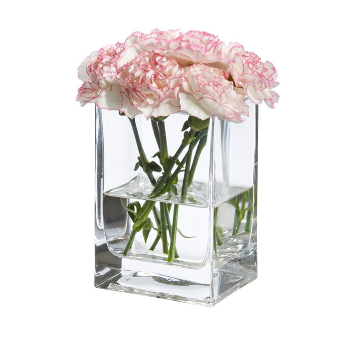 High quality fish tank clear square tall glass vases for desktop placement