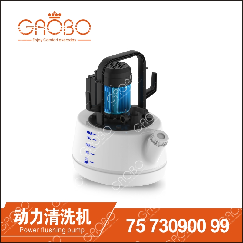 Power flushing pump