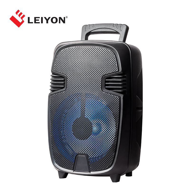 8 inch rechargeable Bluetooth Party Speaker