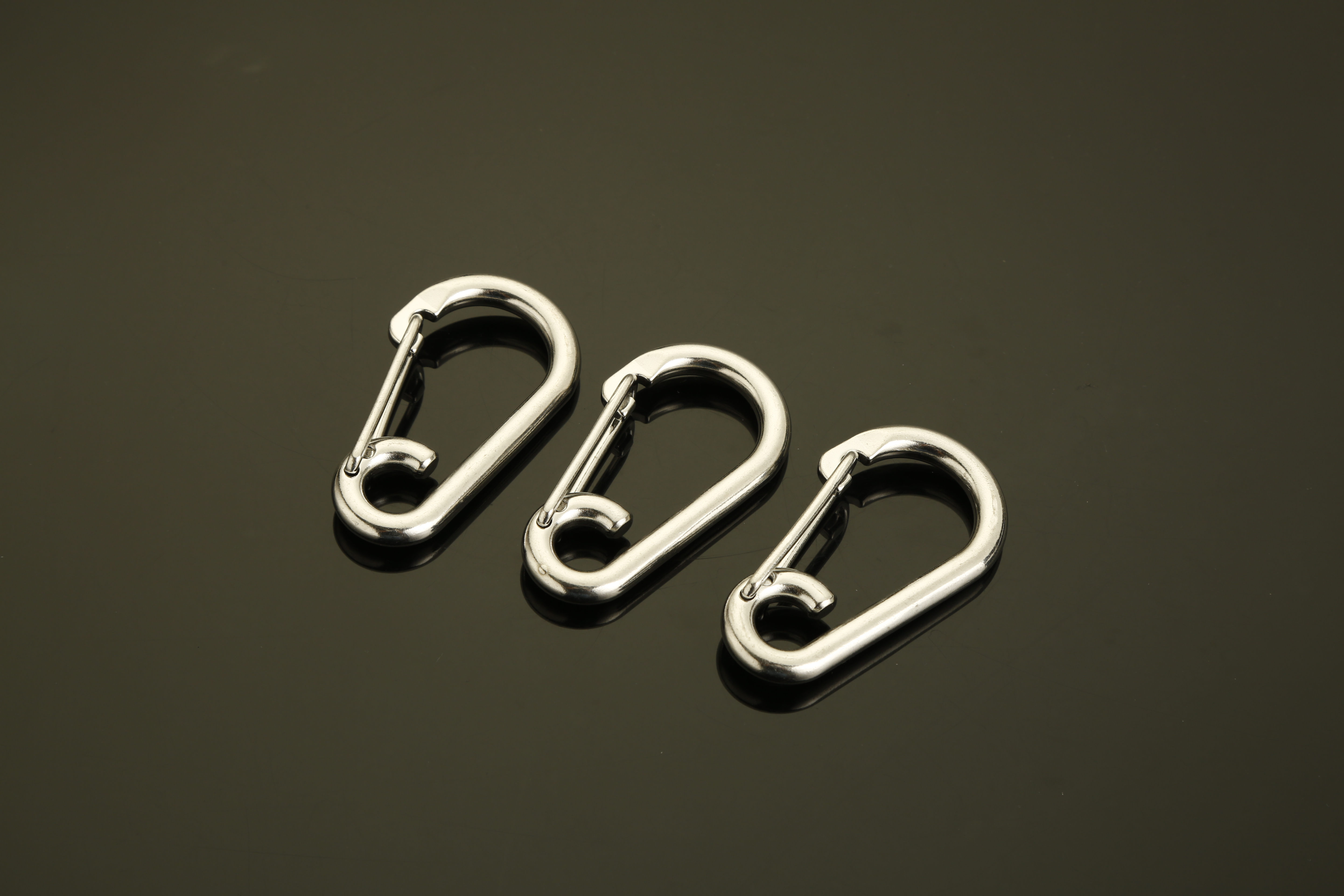 Stainless Steel Spring Snap