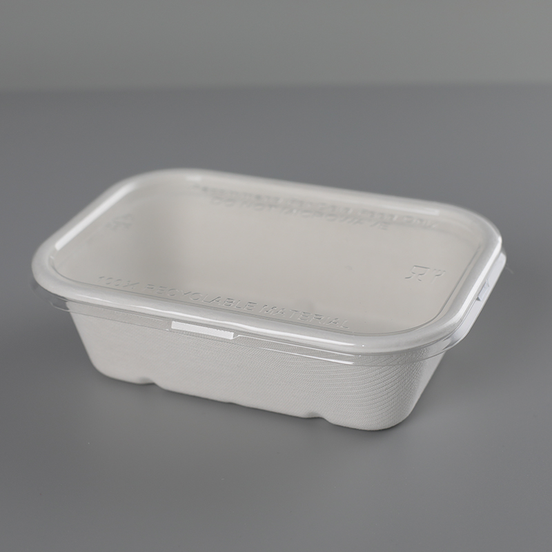 650ml lunch box