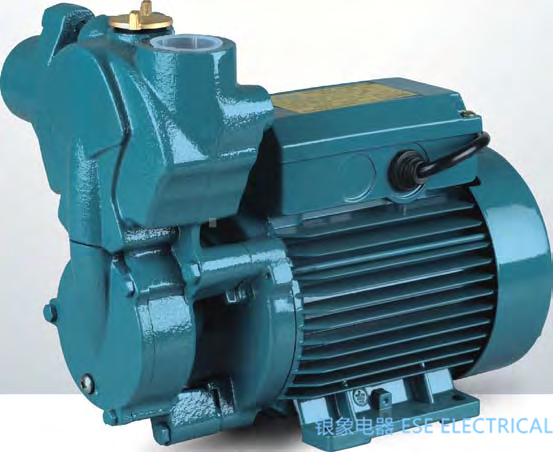 Self-priming clean water pump