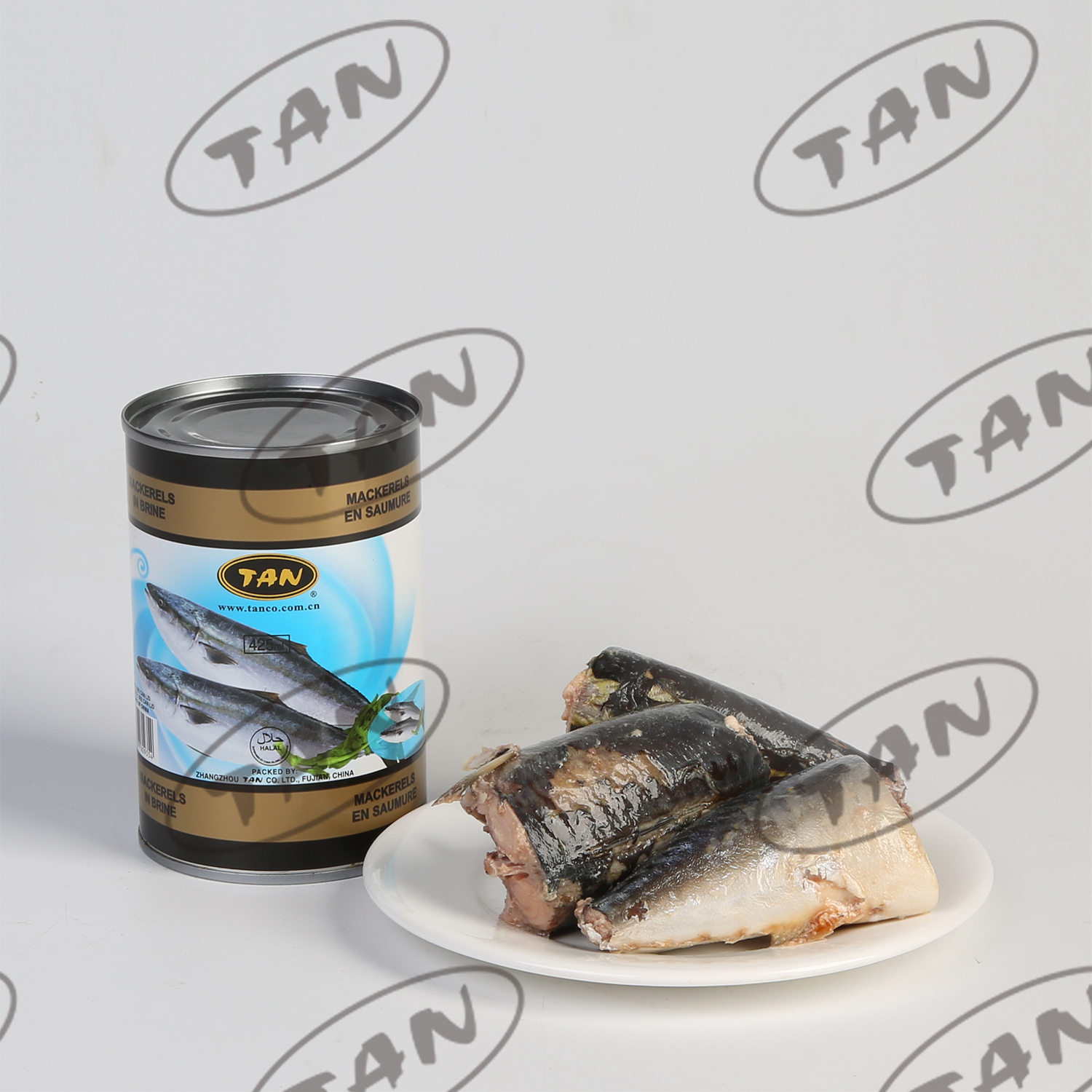canned mackerel in brine