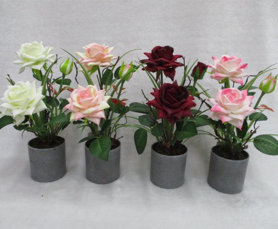 14#potted Rose