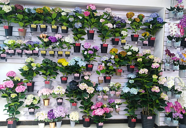 Baoding Yanxin Artificial Flower Co., Ltd. – bonsai 3