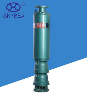 Shanxi JS World Business Co., Ltd – molde de inyección 1