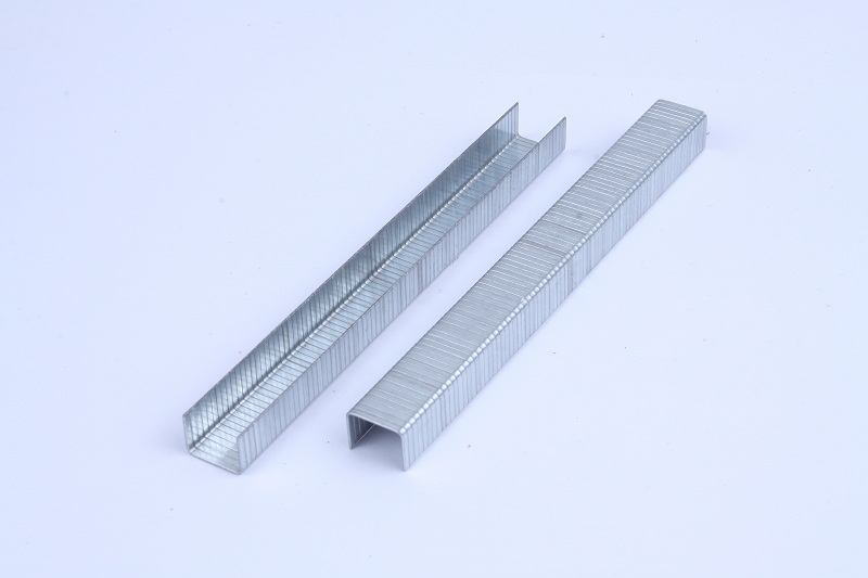 A11 Staples