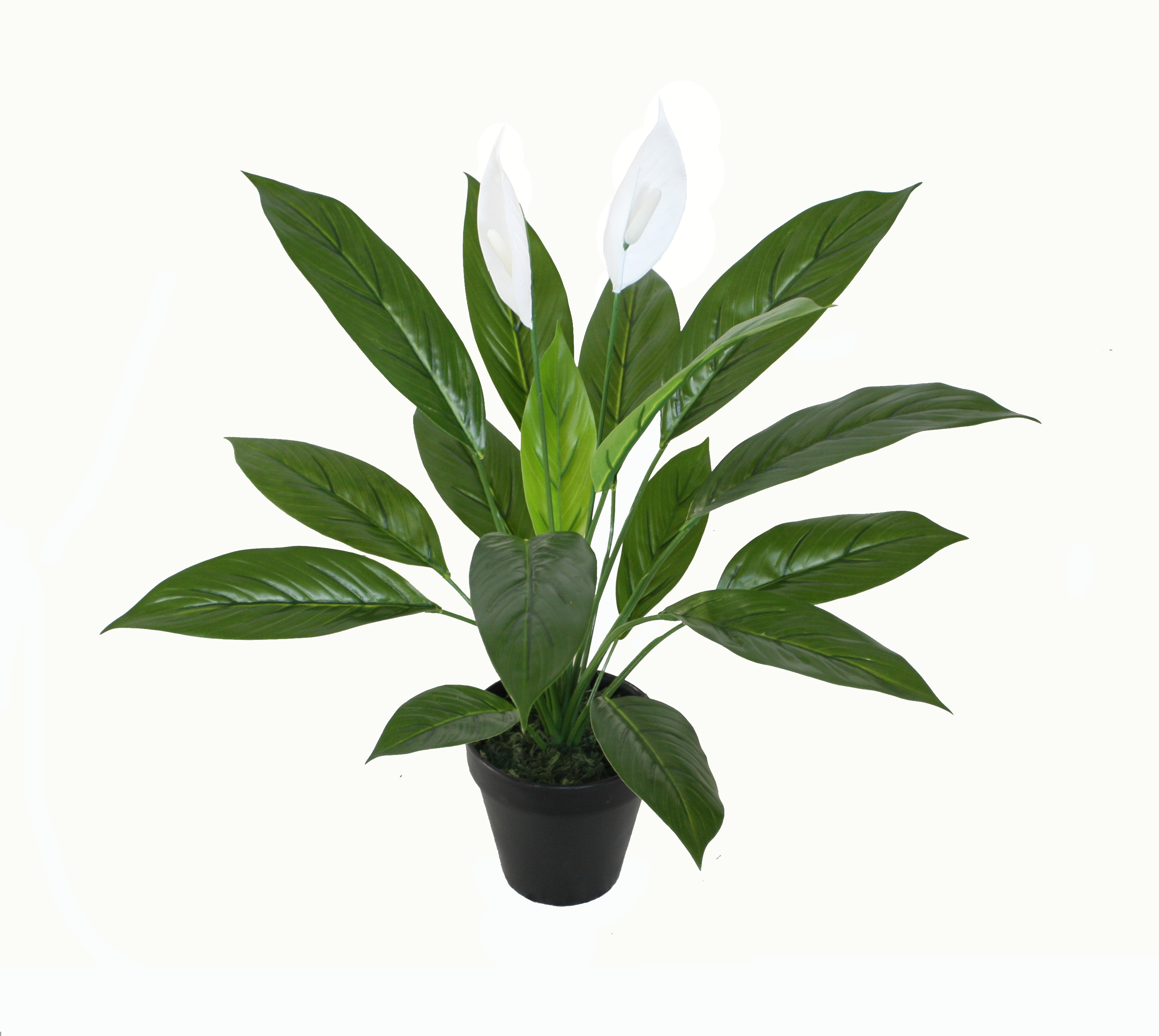 58CM Spathe Flower