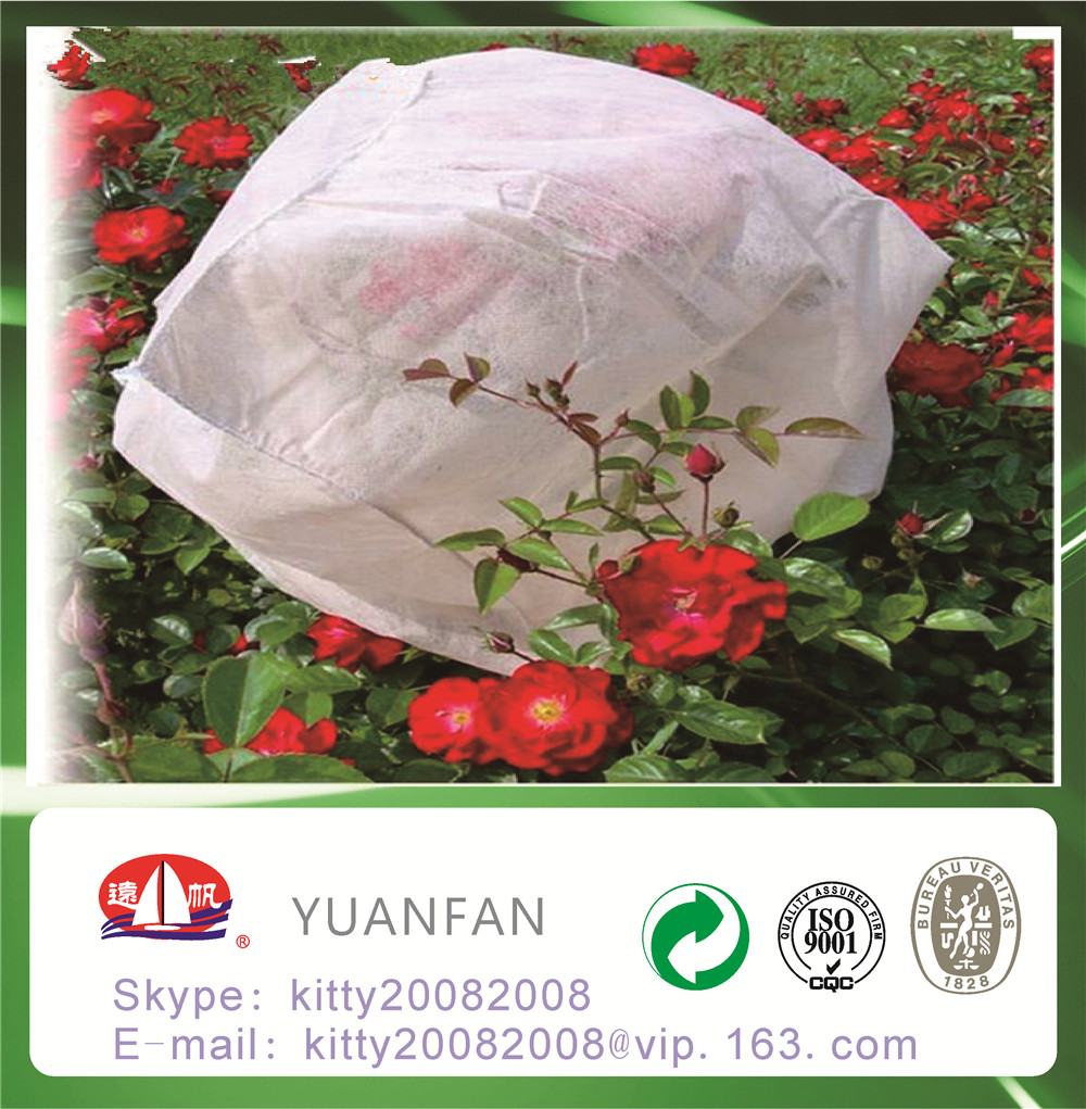 High quality Spunbond pp nonwoven fabric for Agriculture/Plant/Vegetable/Flower/Garden Cover