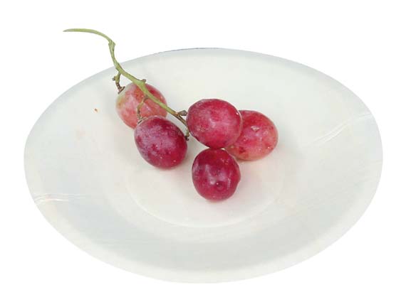 wooden plate