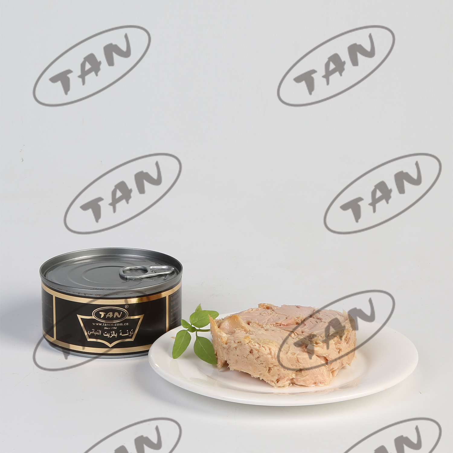 canned tuna in oil