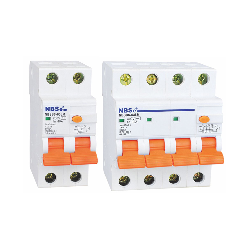 Earth Leakage Circuit Breaker (RCBO)