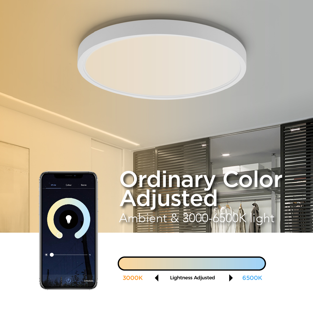 LED Smart Ceiling light