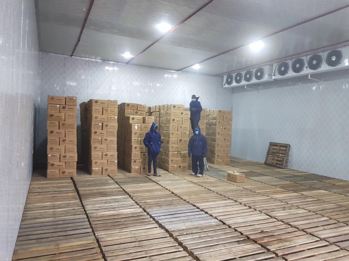 Taizhou Yuhua Refrigeration Equipment Manufacturing Co., Ltd. – Freezer room 1