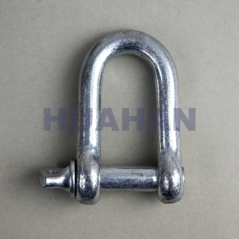 European Type Large Dee Shackle